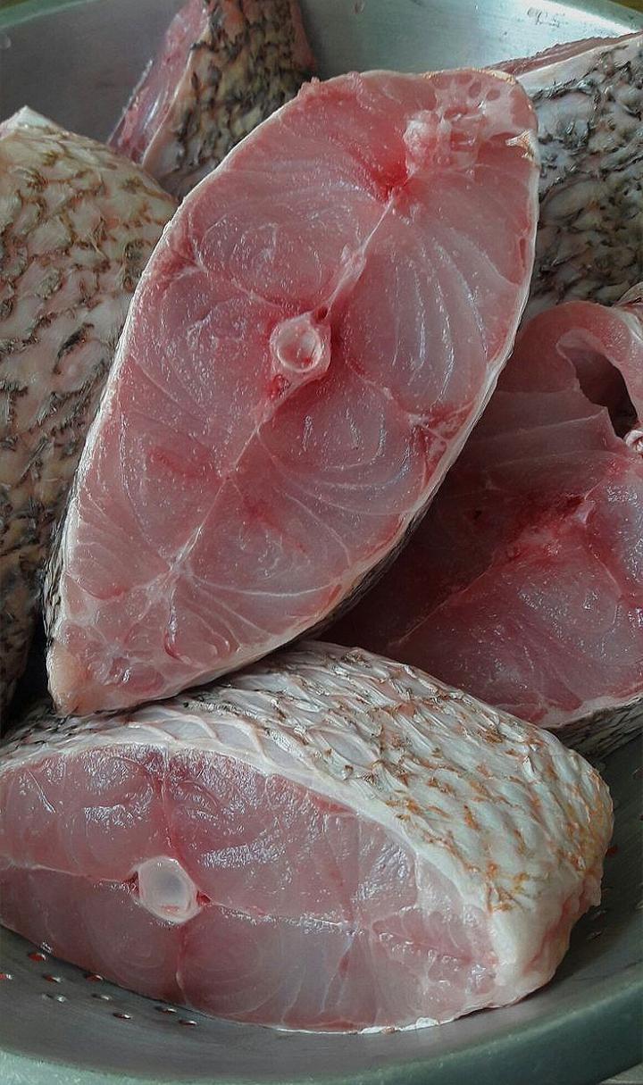 Poissons Nobles